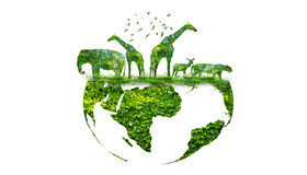 Biodiversità e Pil mondiale